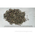 Dried Yellow patrinia herb,Patrinia scabiosifolia,Patrinia scabiosaefolia,Huang hua Bai jiang,Huanghuabaijiang